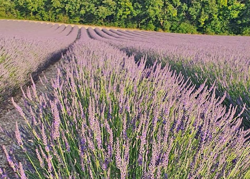 MontcuqDomaine Lapezeアパートメント エクステリア 写真
