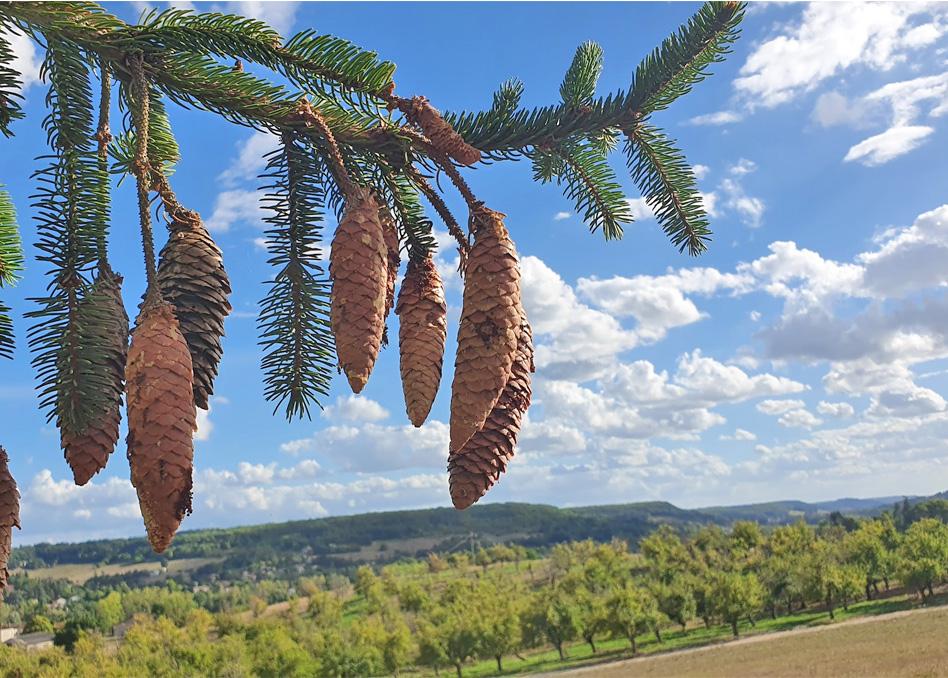 MontcuqDomaine Lapezeアパートメント エクステリア 写真