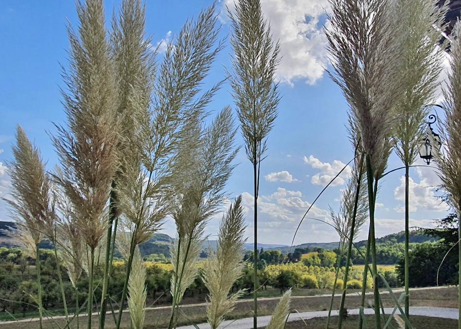 MontcuqDomaine Lapezeアパートメント エクステリア 写真